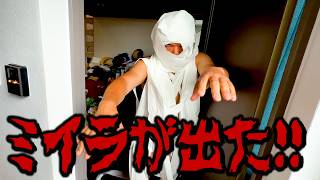 ミイラが出ました