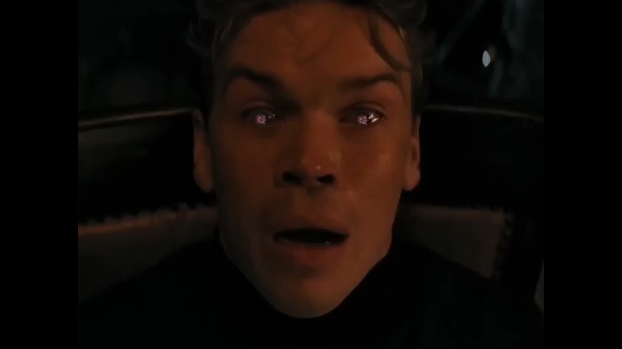 Imagine horse 🐎 Best story ever 