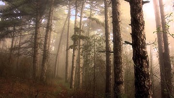 Gitanjali - Rabindranath Tagore - 10 - The poorest, and lowliest, and lost.