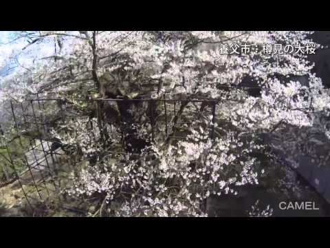 夢但馬2014（1/4）