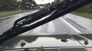 WIPER BLADES- $5.25 FAMILY DOLLAR STORE RELACEMENT & DEMO