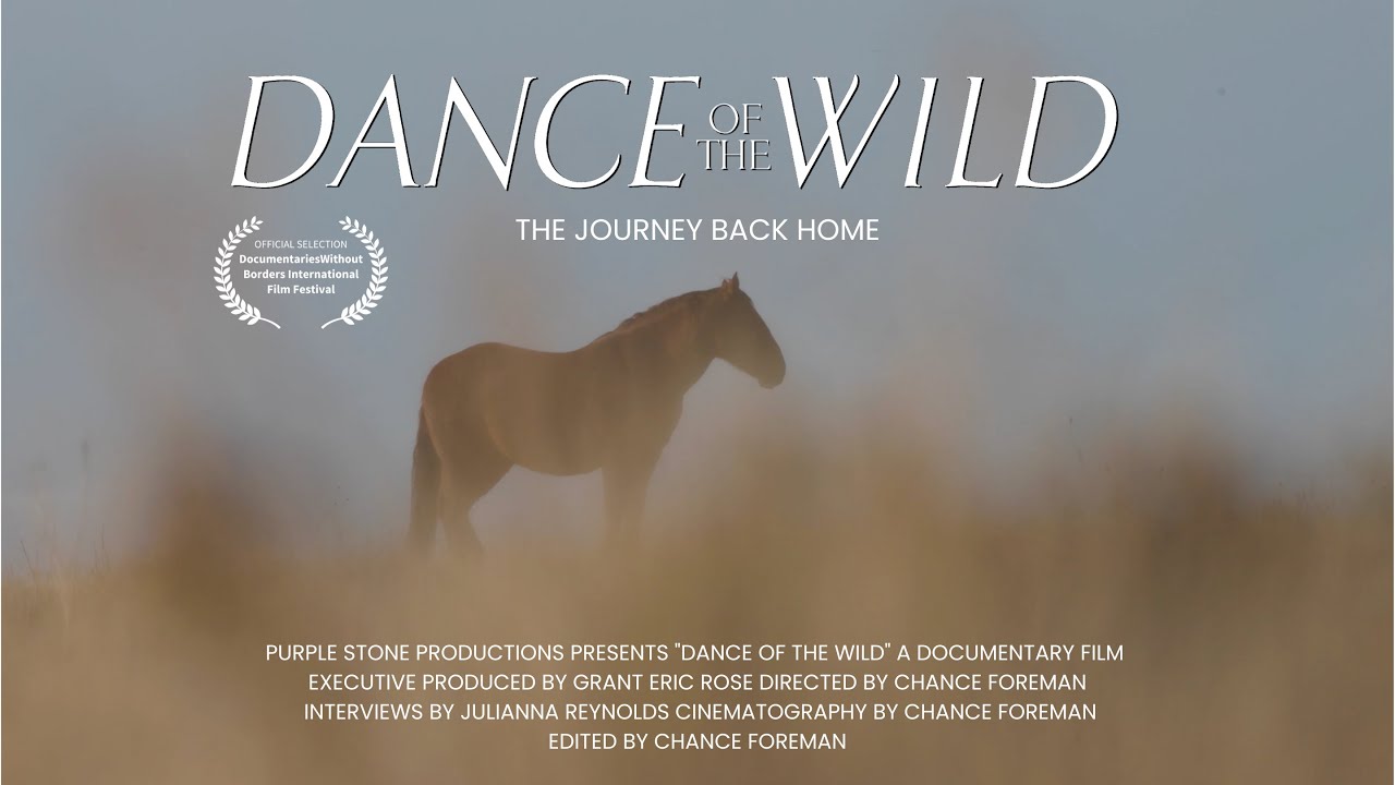 Dance Of The Wild  (Official Trailer)