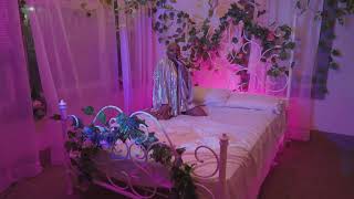 Have You Ever  Performance Amanda Adams