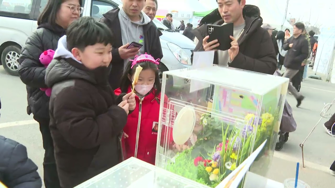 20260223완주 삼례딸기축제 내달 6일 개최int 문화관광복지국 관광축제과장 안형숙