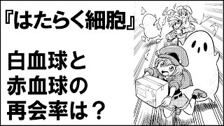 【はたらく細胞】白血球と赤血球が再会する確率は◯％？
