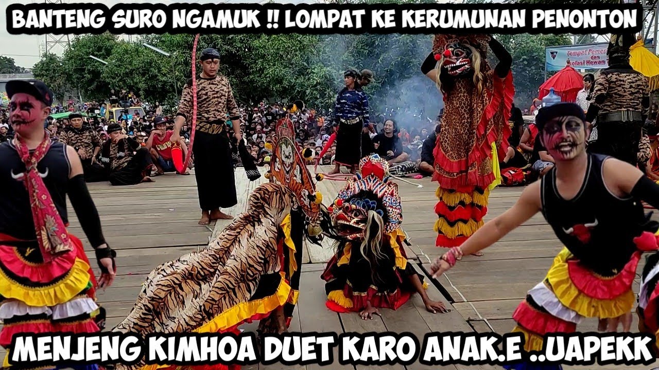 BANTENG SURO Ngamuk❗Menjeng Kimhoa Duet Bareng Anak.e ROGO SAMBOYO PUTRO Live Ngadiluwih Kediri