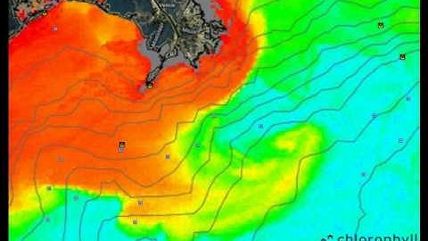 RipCharts - Venice Tuna Map