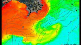 RipCharts - Venice Tuna Map