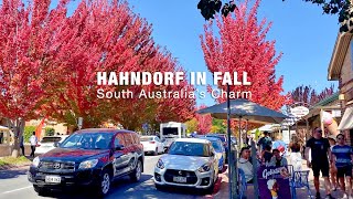 Hahndorf In Fall Exploring The Picturesque German Town In South Australia Australia Travel Guide