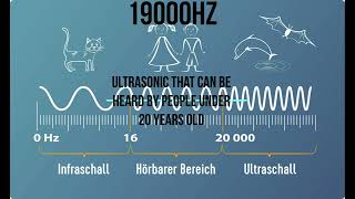 19000 Hz   ultrasonic that can be heard by people under 20 years old keep in mind that a lot depends