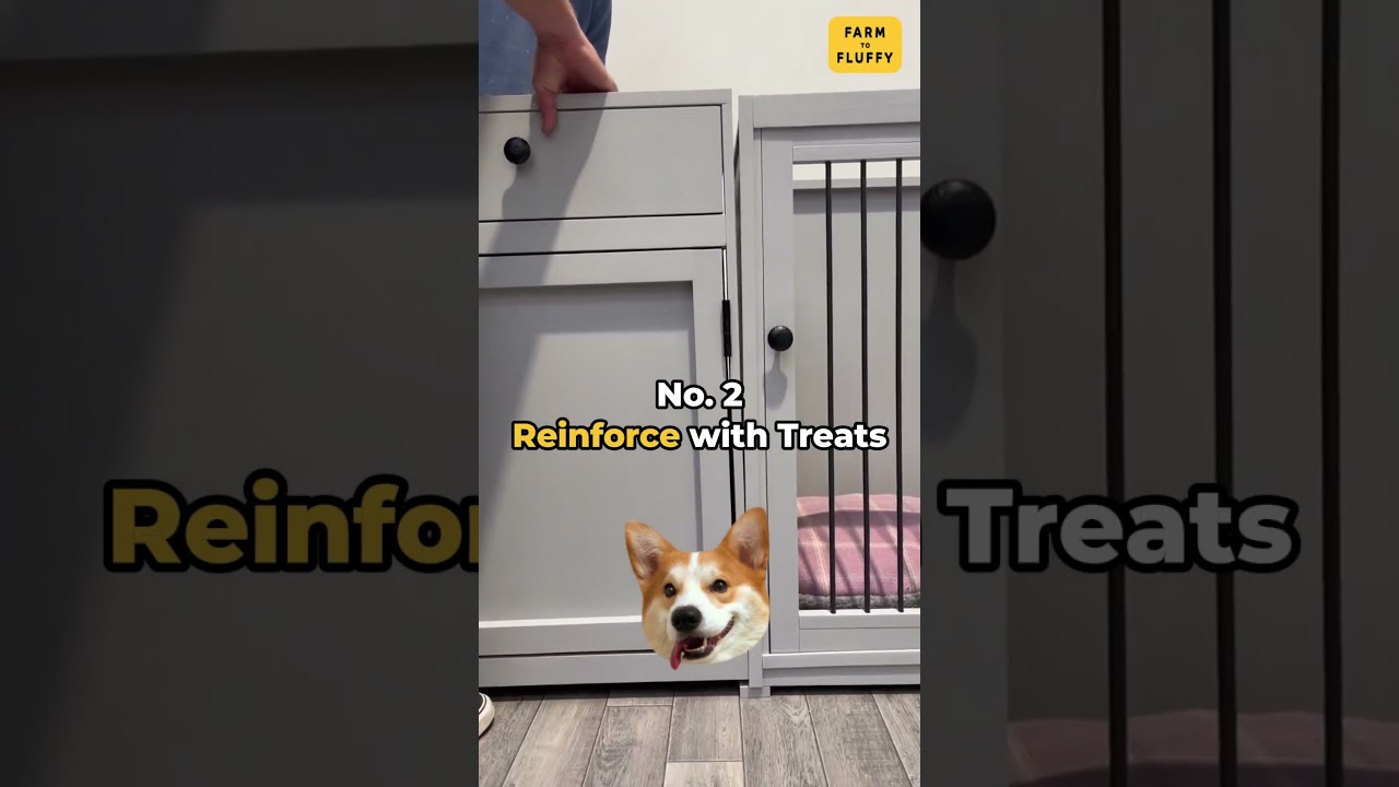 3 Ways To Crate Train Your Dog 🐶✅ #cratetraining #dogshorts #dogtricks