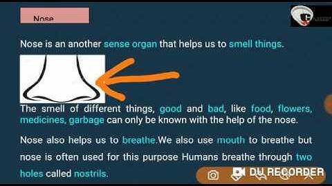 EVS   Grade   2   Dated 03 04 2020