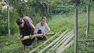 The journey of building a bamboo house of a poor old woman and a homeless girl