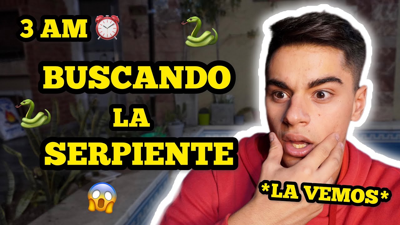 BUSCANDO LA SERPIENTE A LAS 3 AM 😱 🐍 *LA VEMOS*