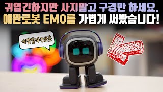 Please look only, don't buy! I tried the AI robot EMO which is cute but has fatal flaws.