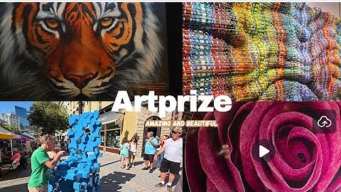 “Kunstprijs ontdekken in Grand Rapids”