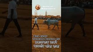 Talegaon Dashasr Shankar Pat 2025 Prakash Bhau Thakre Yancha Raja