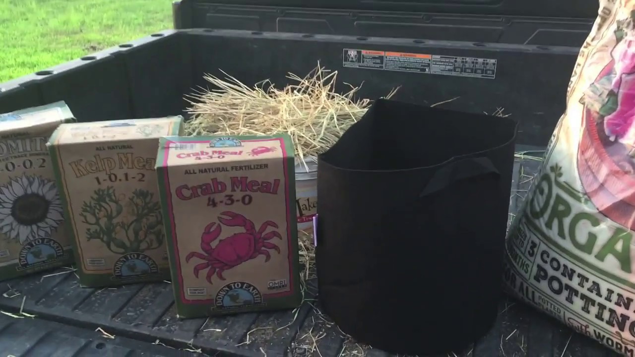 How to build container Organic No-Till Soil (Lasagna Tech)