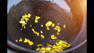 Gold Prospecting Basics