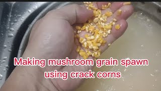 Making grain spawn using crack corns@Mushrooms Angels