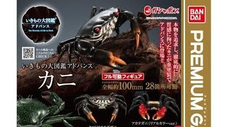 Complete unboxing video of 