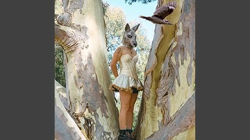 Even Monkeys Fall from Trees