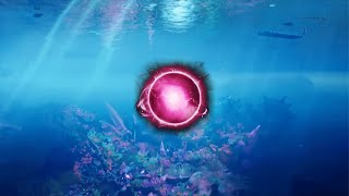 Fortnite New Zero Point Readings