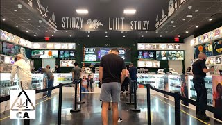 Going To STIIIZY