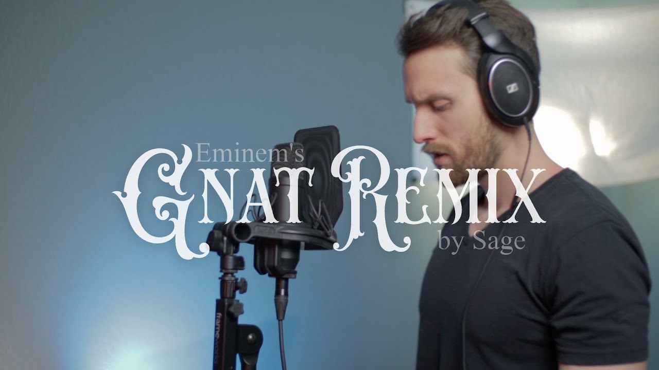 Sage - Gnat (Eminem remix)
