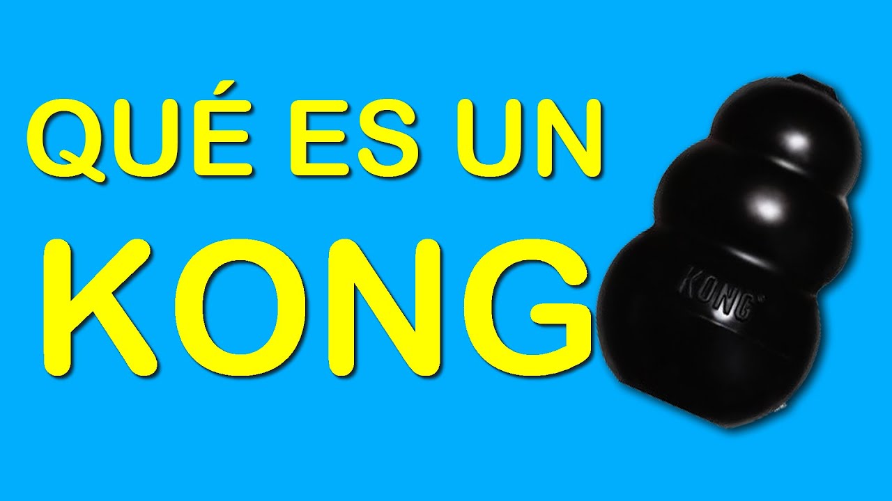precio de kong para perros