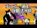 ポッポー領土攻略法8選【にゃんこ大戦争】