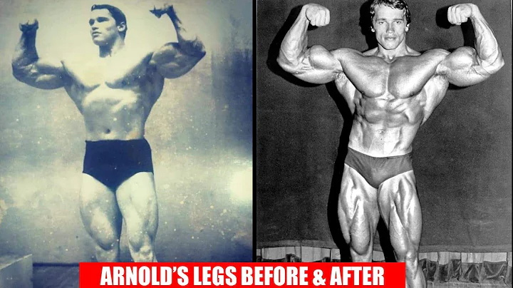 THE EXERCISES ARNOLD LEARNT FROM VINCE TO PERFECT ...