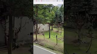 what the actual | #kmarr425 on #Twitch