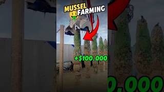 Harvesting Blue Gold This Mussel Farming Business Is Insanely Profitable