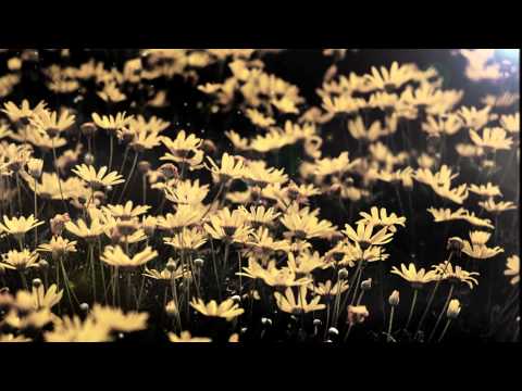 Liquid Cinema - Voyage vs My Photography