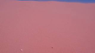 Coral Pink Sand Dunes Utah