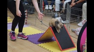 Download Lagu Buffed \u0026 Debugged Abyss (IKHM 89,738pts | 12,261m) MP3