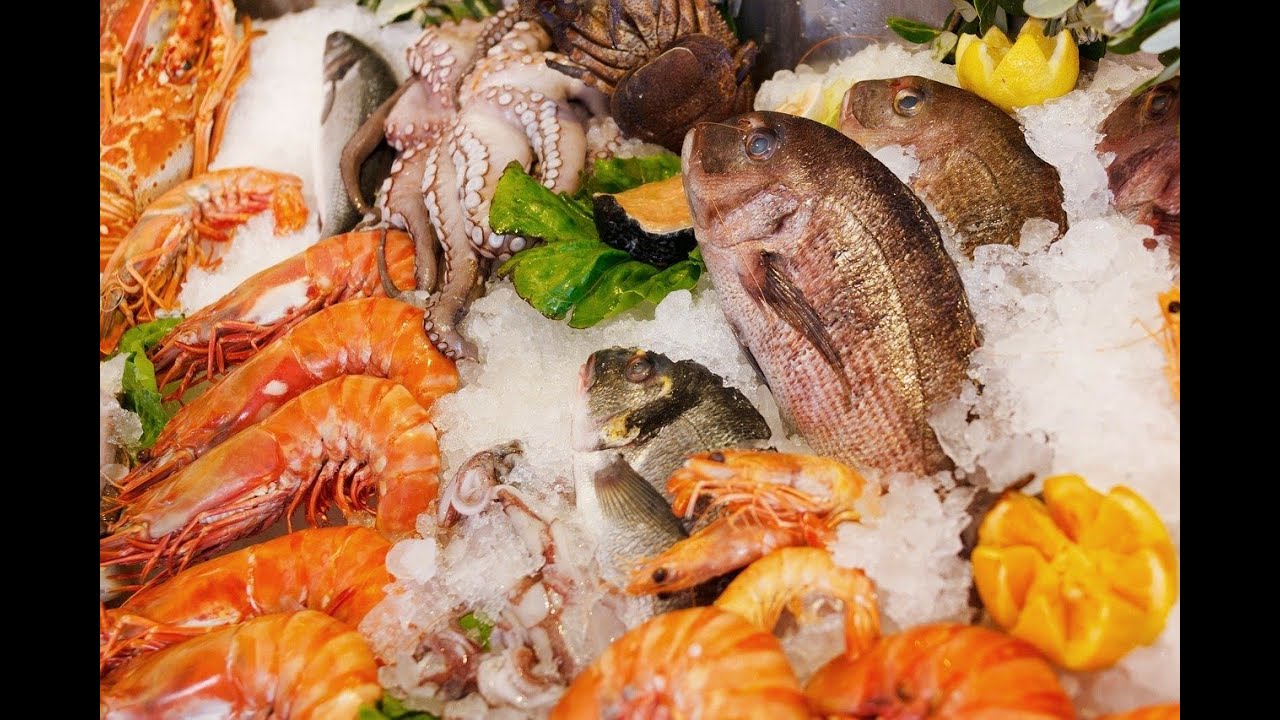 THE BEST SEAFOOD PRODUCT AUSTRALIA FRESH AND HEALTHY SEAFOOD YouTube