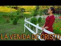 LA VENIDA DE CRISTO-NANCY GONZALEZ- #DianerMoreno inspiración cristiana