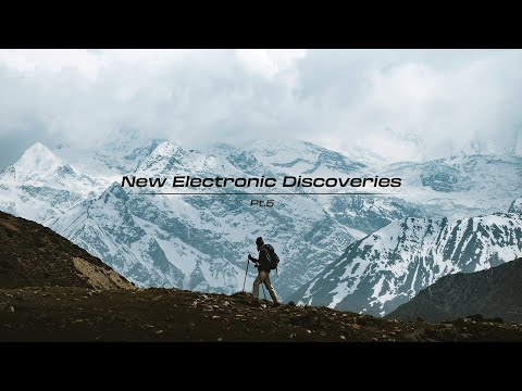 New Electronic Discoveries