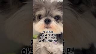 우리 콜라 고기먹게 제발 도와주세요🙏🏻