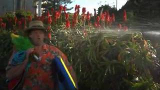 Karma Tourist Second Chance.wmv