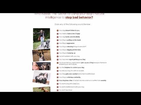 how-to-dog-training-at-home---real-dog-tricks-tutorial-and-personal-protection-dog-training-!