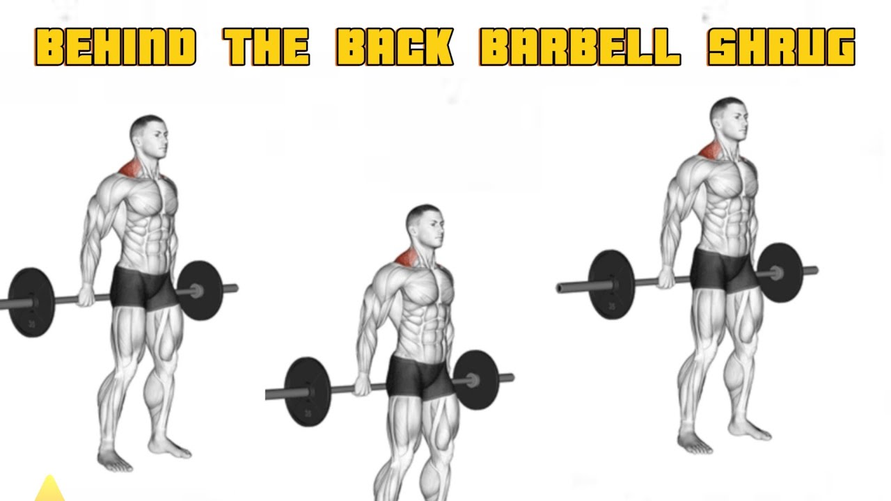 BEHIND THE BACK BARBELL SHRUG EXERCISE - YouTube