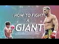 How to Fight a Giant