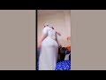ياا ملبن ياا جامدة جدااا 