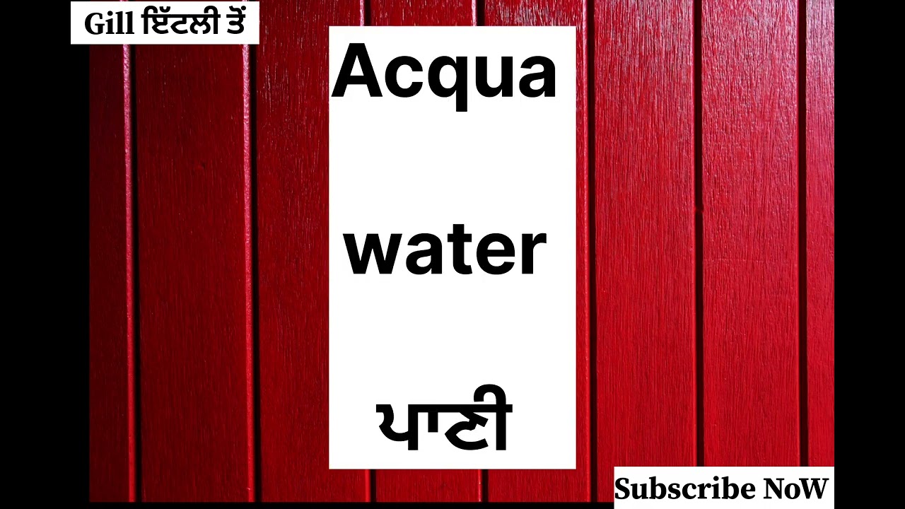 Learn🇮🇹Italian in punjabi || food and meals 😋(daily uses words) #italianlanguagelearning #study