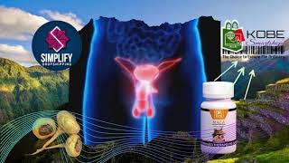 Dr Vita Maca With B Vitamins. Energystamina Booster. Helps Build Muscles.