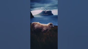 سورة النحل|وضرب الله مثلا قرية كانت آمنة مطمئنة...|القارئ: عبدالرحمن مسعد ❤️ 🎧