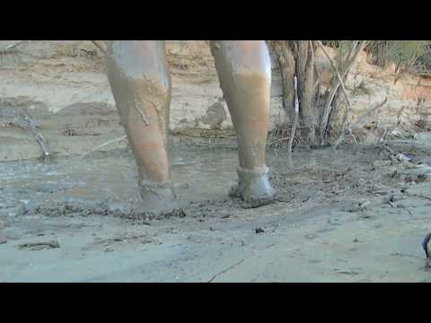 081e-Sinking In Thick Quicksand, Final Coverage